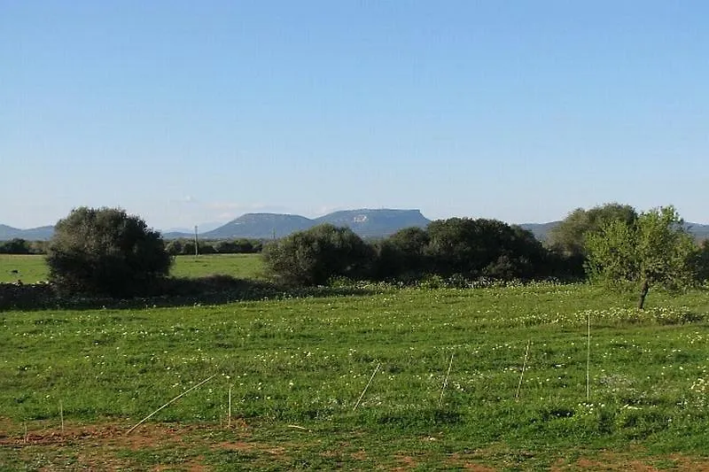Casa Rural Cerca Es Trenc Villa Campos  Spain
